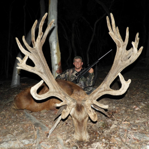 2018 - Trophy - Red Stag