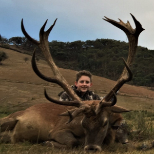 2019 - Trophy - Red Stag