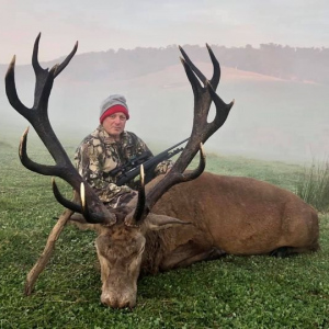 2021 - Trophy - Red Stag